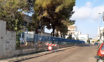 "State uccidendo gli uccellini"
