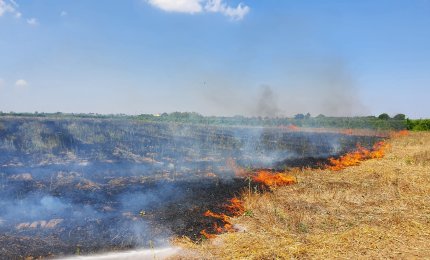 A Galatina gli incendi di Ferragosto
