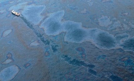Un batterio ci salverà dall'inquinamento da petrolio