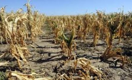 Allarme siccità in Puglia