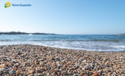 La caletta delle conchiglie a Torre Guaceto: un angolo di paradiso