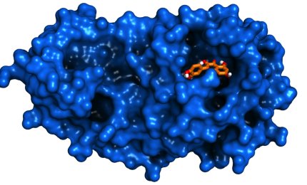 Una molecola di origine naturale blocca il SARS-CoV-2