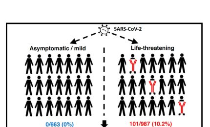 Anomalie genetiche e immunologiche dietro il 15% delle forme più gravi di covid-19