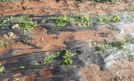 Calamità naturali: 32,6 milioni da spendere entro il 31 Dicembre 2020. I comuni si diano da fare