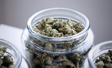 Cannabis terapeutica: i preparati galenici sono distribuiti per la Asl dalla Farmacia del PTA di Maglie