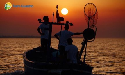 Fermo pesca di 30 giorni nell’Area Marina Protetta di Torre Guaceto