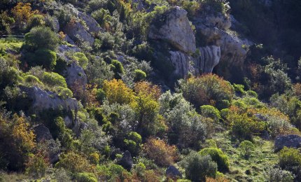 Cinque polmoni verdi per il Salento