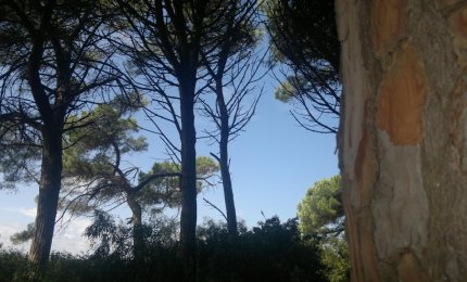 L'ultimo ciao