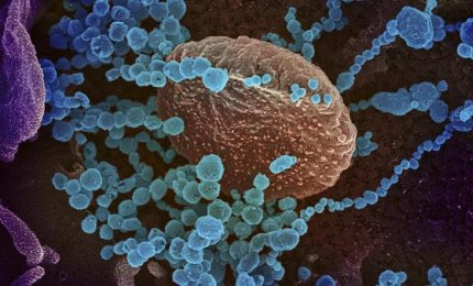 COVID-19. Sette decessi in provincia di Lecce, 29 in Puglia