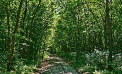 Con il covid migliorata la qualità dell'aria in Puglia