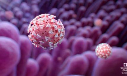 COVID-19. 42 decessi in Puglia, 3 nel Salento