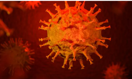 COVID-19. 85 nuovi contagiati nel Salento, 915 in Puglia su 9646 tamponi