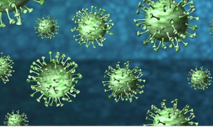 COVID-19. 917 nuovi positivi in Puglia, 97 nel Salento