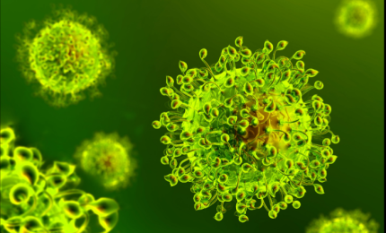 COVID-19. 95 nuovi positivi in provincia di Lecce, 1175 in Puglia su 7122 test