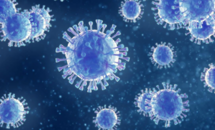 COVID-19. In Puglia 656 nuovi contagi su 4878 test, 59 nel Salento