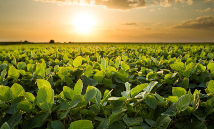 &quot;Dall'agricoltura verde almeno un milione di posti di lavoro sfruttando il Recovery fund&quot;