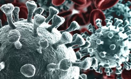 COVID-19. 71 nuovi positivi in provincia di Lecce, 631 in Puglia su 4138 test (15%)