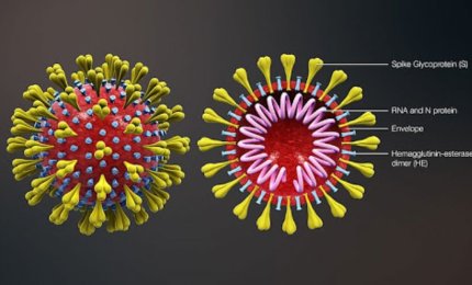 COVID-19. L'altalena salentina dei nuovi contagiati