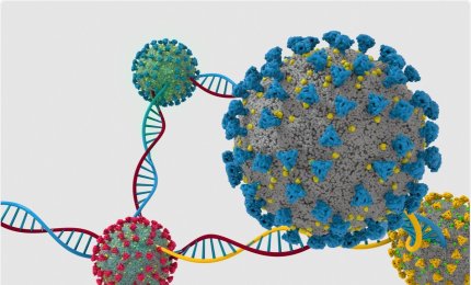 Un nuovo software per facilitare l’analisi del genoma del coronavirus SARS-CoV-2