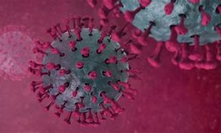 COVID-19. 88 nuovi casi e 8 decessi in provincia di Lecce