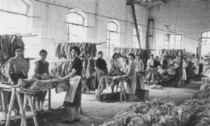 Le Tabacchine del Salento raccontate dalle ragazze della 2F del Polo 1 di Collemeto