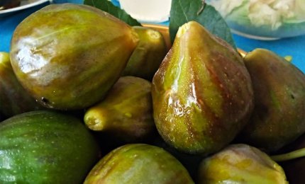 “Nu tocca sspettamu cu nni cascia ‘u culumbu!”