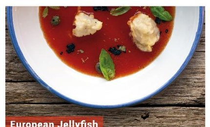 “European Jellyfish - Prime ricette a base di meduse in stile occidentale”