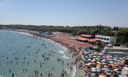 Fuoco a Torre dell'Orso, distrutta una vasta zona di pineta