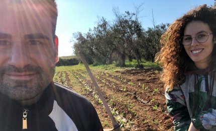 Dire grazie con dei girasoli, anzi con un campo