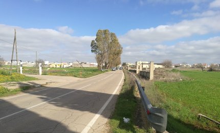 La strada per il cimitero di Noha è pericolosa. Il segretario del Pd scrive a Minerva