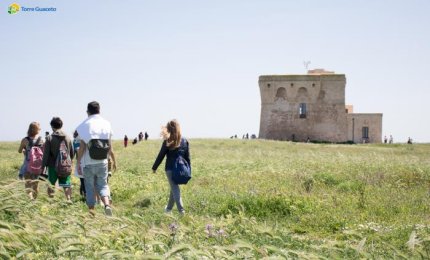 Volontari per la riserva di Torre Guaceto, aperte le iscrizioni
