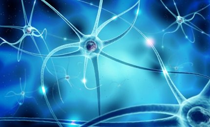 Atrofia muscolare spinale: nuove conoscenze