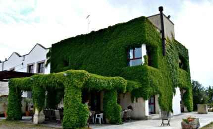 San Martino nella Cantina Santi Dimitri