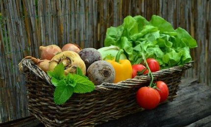 Giornata Mondiale Onu della Salubrità Alimentare, nel 2020 297 'allarmi' in Italia 