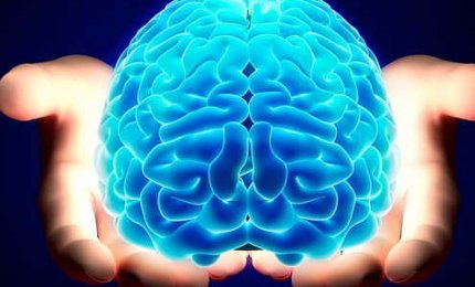 “Il cervello è l’organo del corpo che in assoluto consuma più energia&quot;