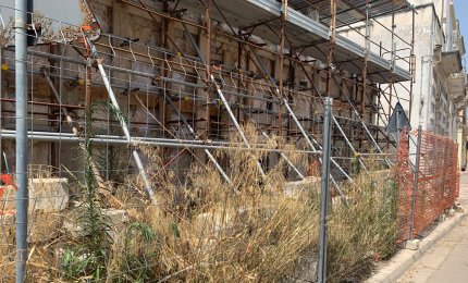 "Rigogliosi alberelli di fico sul tetto della vecchia chiesa di Santa Lucia"