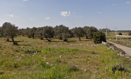 Strada comunale Roncella prima. Le accuse infondate di chi non conosce i fatti