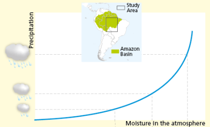 “Piccoli cambiamenti nell’umidità dell’aria, dovuti alla presenza o meno di alberi, possono portare a grandi cambiamenti nella pioggia osservata”