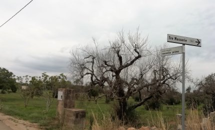 Strada Roncella prima: "Siamo sempre in attesa di risposte concrete dall'Amministrazione comunale"
