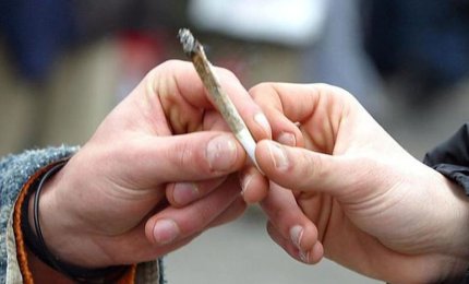 La cannabis, le leggi e i giovani