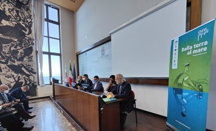 Come migliorare la pesca del gambero bianco in Adriatico