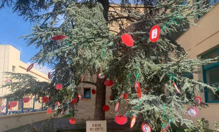 L'“Albero dei Diritti” dei bambini è cresciuto al Polo 3 di Galatina