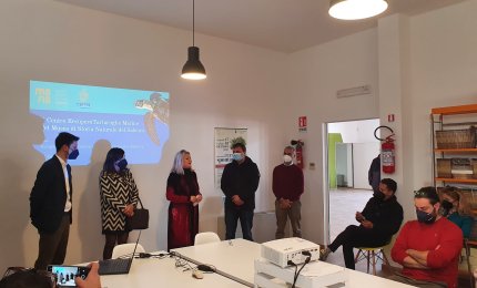 Inaugurate due nuove sale del Centro Recupero Tartarughe Marine del Museo di Storia naturale del Salento