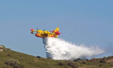 A fuoco il Salento, distrutti 200 ettari di pineta e macchia mediterranea