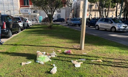Sporcaccioni in pieno centro di Galatina. Sono stati inquadrati dalle videocamere comunali?