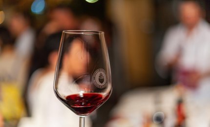 "Ci batteremo contro la volontà dell'Europa di etichettare il vino come cancerogeno"