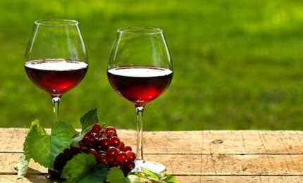 Scongiurate norme europee miranti a indicare il vino come cancerogeno. Soddisfazione della Camera di Commercio di Lecce