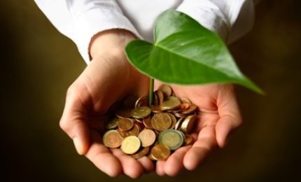 120000 euro per i giovani salentini nelle imprese 'verdi'