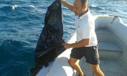 Sub raccoglie 150 ricci con le bombole, 4000 euro di multa e il sequestro dell'attrezzatura