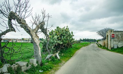 “Ponte Picaleo: lasciate ogni speranza voi ch’entrate”